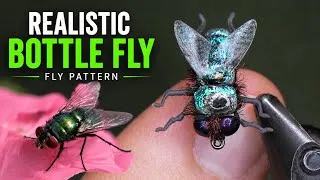 Thumbnail: The Most REALISTIC Bottle Fly??