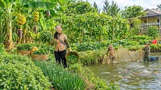 Thumbnail: Harvest Chinese Chives, Mugwort, Cucumbers With My Brother - Catch Fish To Raise At The New Farm