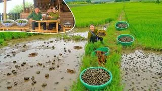 Thumbnail: Harvest Snails Go To Market Sell - Cook Snails Braised With Green Bananas & Tofu With My Brother .