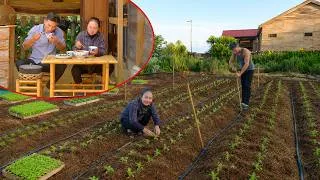 Thumbnail: Install Automatic Sprinklers And Plant Vegetables With My Brother On New Farm - Catch Carp And Cook