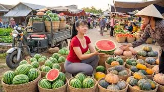 Thumbnail: Harvesting Lots Of Watermelons, Use 3-Wheeled Truck Transport Go To Countryside Market Sell