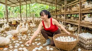 Thumbnail: TIMELAPSE: 250 Days of Duck Farming | Harvesting Thousands of Eggs for the Village Market
