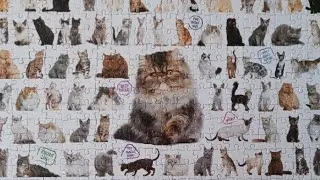 Thumbnail: Jigsaw Puzzle # 1,920 - The Cat Puzzle (300 Piece) Cardinal and Spin Master 2015