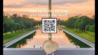 Thumbnail: Feminist History Tree Ring on the National Mall in DC