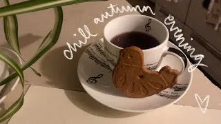 Thumbnail: chill autumn evening alone & nighttime skincare routine | November 2020