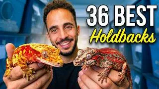 Thumbnail: Showing off 36 of my Best Holdbacks!