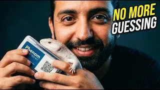 Thumbnail: We can FINALLY Sex Blue Tongue Skinks Accurately.