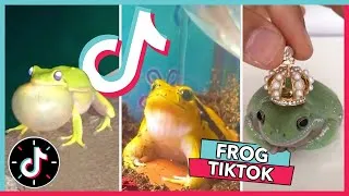 Thumbnail: WELCOME TO FROG TIKTOK 🐸 2021 Frog Tik Tok Compilation
