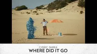 Thumbnail: C3DRIC & Shibui - Where Did It Go