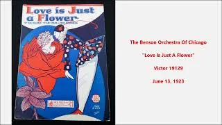 Thumbnail: The Benson Orchestra Of Chicago "Love Is Just A Flower" on Victor 19129 (1923) dance band jazz 1920s