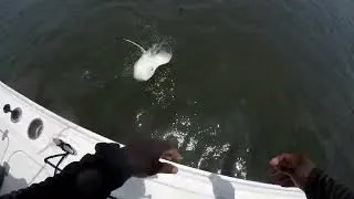Thumbnail: Catching Fish with Out East Island Charters
