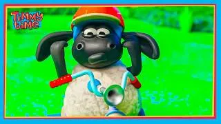 Thumbnail: MY TRICYCLE HORN DOES NOT WORK ANYMORE! 🚲😢 | Timmy & Friends