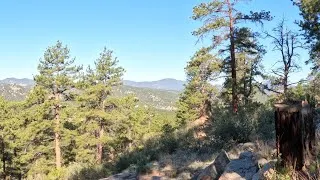 Thumbnail: Hiking in pikes National forest.  Lake George Colorado  #hiking #colorado #adventure