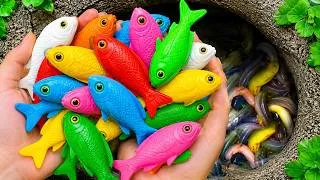 Thumbnail: Let's Explore Giant Dinosaur Eggs: Goldfish, Koi, Guppies, Turtles, and Eels Trapped in a Tiny Pond!