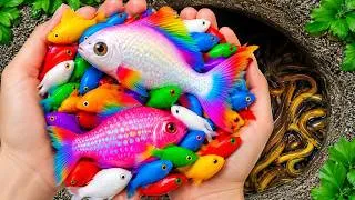 Thumbnail: Discover Adorable Little Fish: Goldfish, Guppies, Koi Fish, Swordtails, and Pencil Fish! 🐟🌈✨
