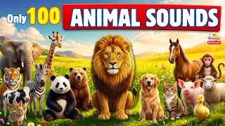 Thumbnail: 🦁100 Animal Sounds for Kids | Learn Wild & Farm Animal Sounds| Fun Learning Video For Toddlers | 4k