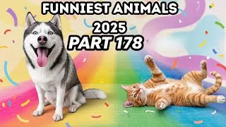 Thumbnail: Funniest Animals Compilation 2025 😂🐶 Part 178