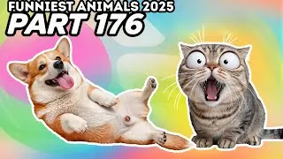 Thumbnail: Funniest Animals Compilation 2025 😂🐶 Part 176