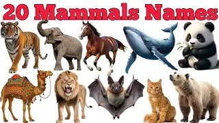 Thumbnail: 20 Mammals Names In English & Hindi With Fun Facts | Fun Learning For Children