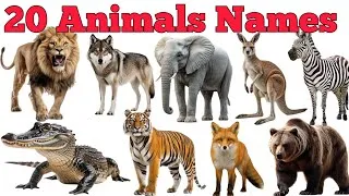 Thumbnail: 20 Animals Names In English & Hindi With Fun Facts | Fun Learning For Pre-school Children