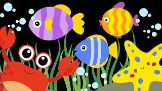 Thumbnail: Baby Sensory Ocean High Contrast for Visual Stimulation and Calm Music for Soothing Relaxation