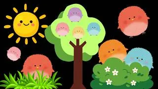 Thumbnail: Baby Sensory Colors with High Contrast for Visual Stimulation calming music