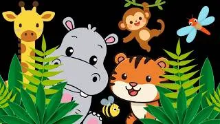 Thumbnail: Jungle safari Fun! Baby sensory with visual stimulation and high contrast