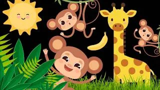 Thumbnail: Jungle Monkey!  Baby Sensory with high contrast for visual stimulation and calming music
