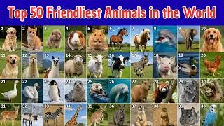 Thumbnail: Top 50 Friendliest Animals in the World 🐶🐬 | Amazing Animals for Kids | Learn Animal Names & Facts