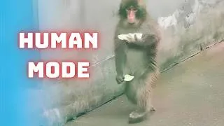 Thumbnail: Punch the Birthday Boy Forgot He's NOT Human!