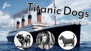 Thumbnail: What about the dogs aboard Titanic?