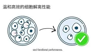 Thumbnail: Are you still using traditional animal-derived trypsin in your cell culture processes?