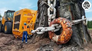 Thumbnail: Extreme Dangerous Monster Stump Removal Excavator | Amazing Fastest Wood Chipper Machines #44