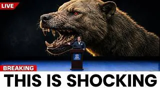 Thumbnail: If There Are Big Cats, Why Are There No Big Dogs? — DNA Finally Revealed the Answer