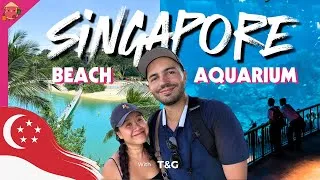Thumbnail: 🇸🇬 Singapore Beach and Aquarium are so much cooler than what I thought!
