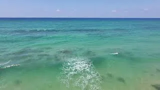 Thumbnail: Hof Hasharon beach