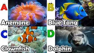 Thumbnail: ABC phonics animals | English and Animals for Kids #angelfishs
