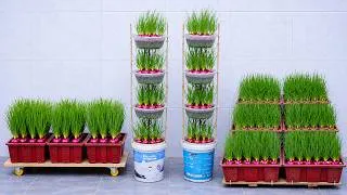 Thumbnail: 3 Genius Ways to Grow Fresh Green Onions Indoors and Outdoors