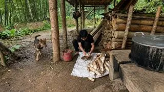 Thumbnail: [FULL VIDEO] Feeding Pigs and Chickens, Catching Shrimp and Selling at the Market