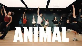 Thumbnail: Katseye - Animal | Tobias Ellehammer Choreography (Session)