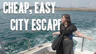 Thumbnail: My Fav Summer Day trip Near Tokyo