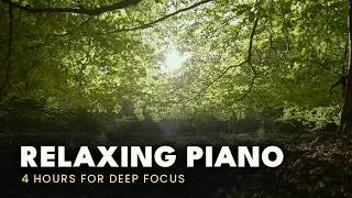 Thumbnail: 4 Hours of Calm Piano in the Forest 🎹 Relaxing Music for Deep Focus & Study