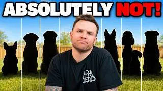 Thumbnail: 7 Dog Breeds I’d Never Let in My House