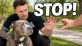 Thumbnail: Why You Should Never Let Strangers Pet Your Dog