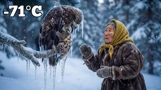 Thumbnail: An 80-Year-Old Woman Saved a Frozen Eagle and Her Chick — What Happened Next Shocked Everyone 🦅