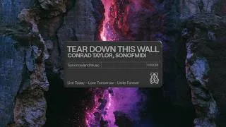 Thumbnail: Conrad Taylor, sonofmidi - TEAR DOWN THIS WALL (Official Audio)