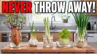 Thumbnail: 11 Kitchen Scraps You Can Regrow for FREE (Without Failing Again)