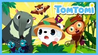 Thumbnail: Unusual Animal Songs Compilation | Best Kids Songs | Nursery Rhymes #TOMTOMI