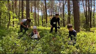 Thumbnail: The Tough but Happy Life of a Large Family in the Village 🏡 Picking Wild Berries, Making Jam 🍓