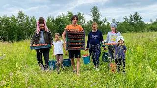 Thumbnail: The Tough but Happy Life of a Large Family in the Village 🏡 Picking Strawberries, Spreading Manure🥔